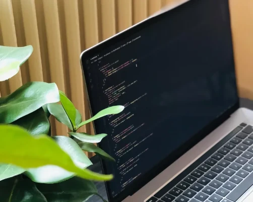 Close up image of a laptop next to a plant